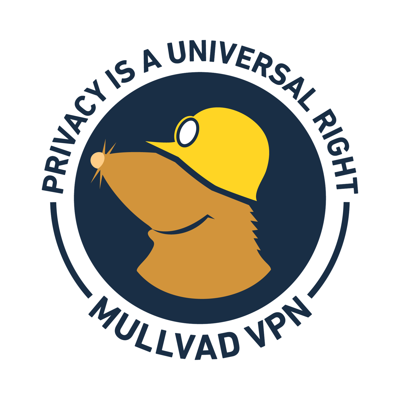 Mullvad VPN logo